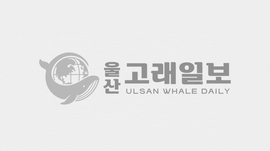 국제기념물유적협의회, ‘반구천의 암각화’ 세계유산 ‘등재 권고’