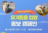 울산시, 유기동물 입양 홍보 활동(캠페인) 개최
