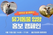 울산시, 유기동물 입양 홍보 활동(캠페인) 개최