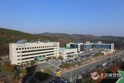 동구, 해삼 종자 방류 실시